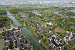 三天二晚玩轉沙家浜 荷花滿池、紫色花海與特色民宿的完美邂逅