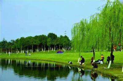中秋送好禮!沙家浜、新四軍紀念館+虎丘濕地公園、山塘老街二日游