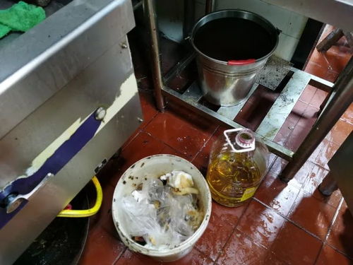 上海餐飲復(fù)工后廚房衛(wèi)生堪憂 積壓庫(kù)存觸目驚心，記者現(xiàn)場(chǎng)調(diào)查揭露亂象